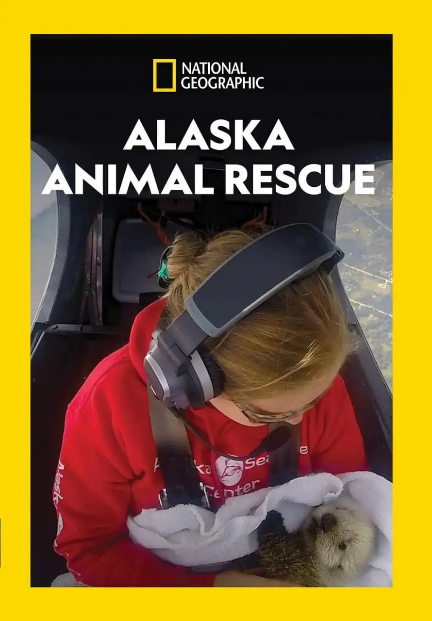 《阿拉斯加野生动物救援 第一季》：感受生命的力量与自然的奇迹 | 探索阿拉斯加