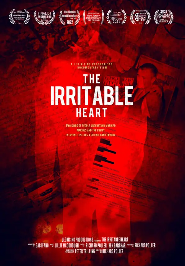 《易怒的心》影评：一场失控的复仇，直击人性的脆弱与挣扎