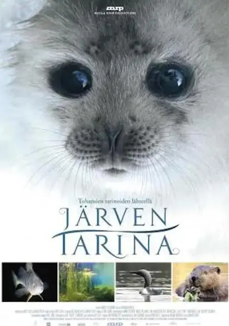 《湖泊的传说》：探寻北欧神话的根源，一场关于自然、魔法与自由的史诗冒险！